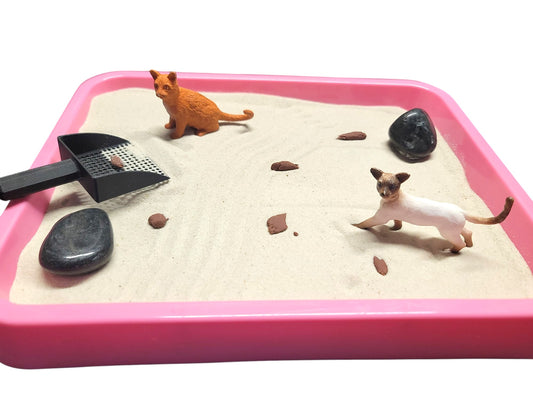 Kitty Litter Zen Garden