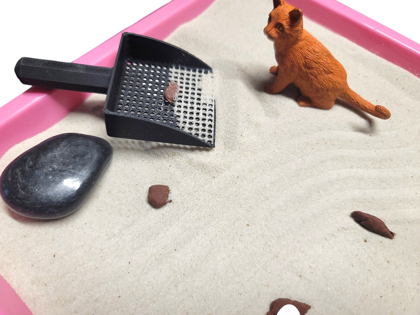 Kitty Litter Zen Garden