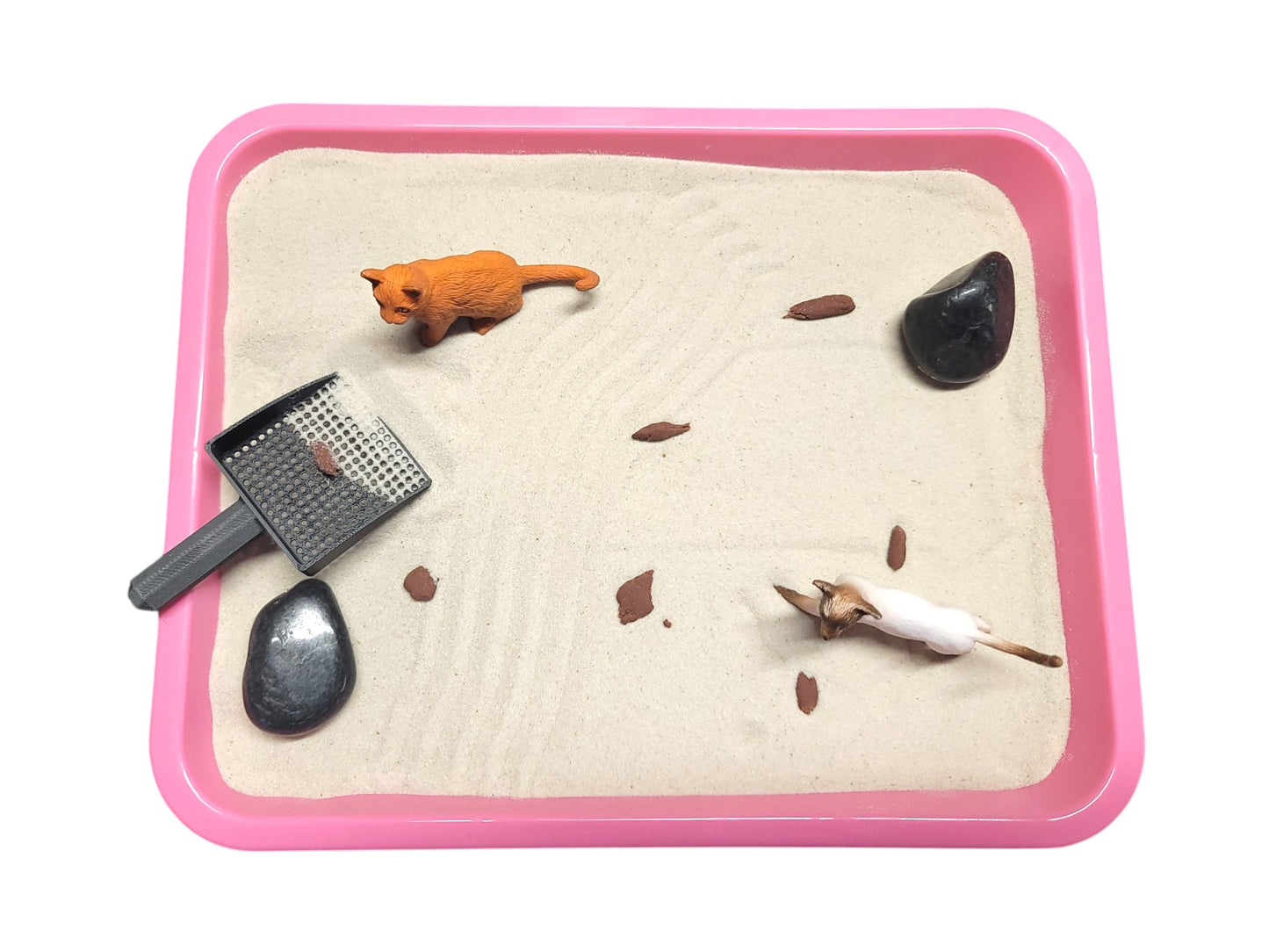 Kitty Litter Zen Garden